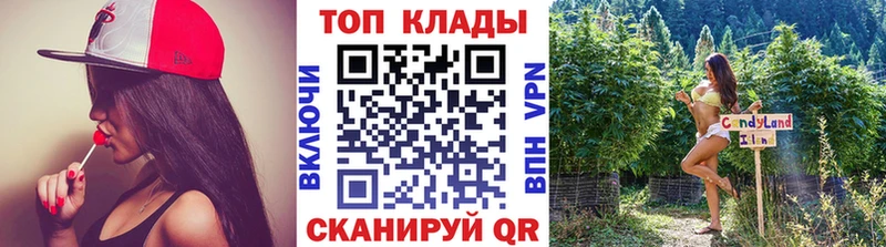 Где купить Камышлов Alpha PVP  Псилоцибиновые грибы  Меф 