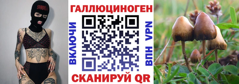 Галлюциногенные грибы Cubensis  мега маркетплейс  Камышлов  купить  сайты 